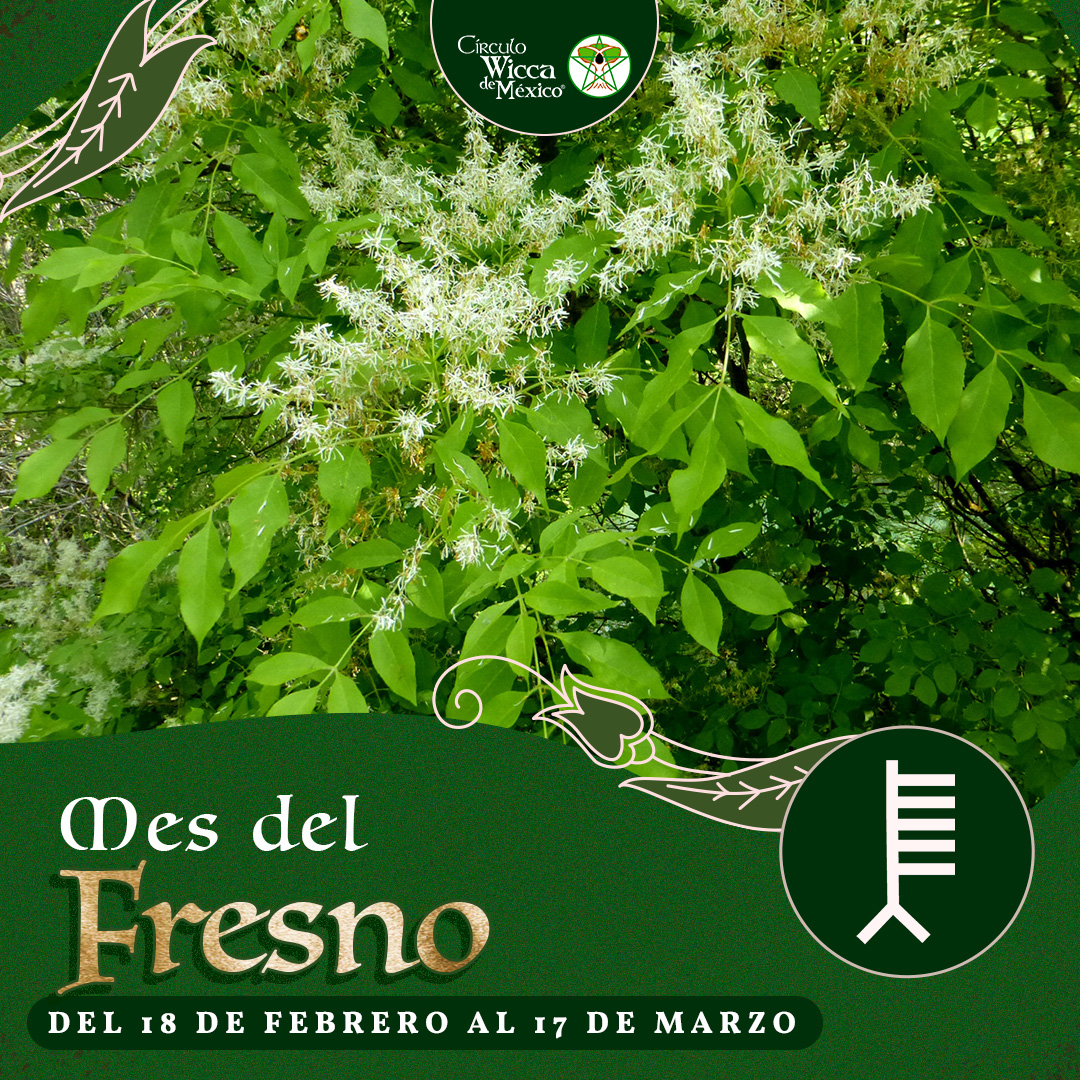 Banner Mes Ogham Fresno